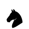 Equestrian Facilities
